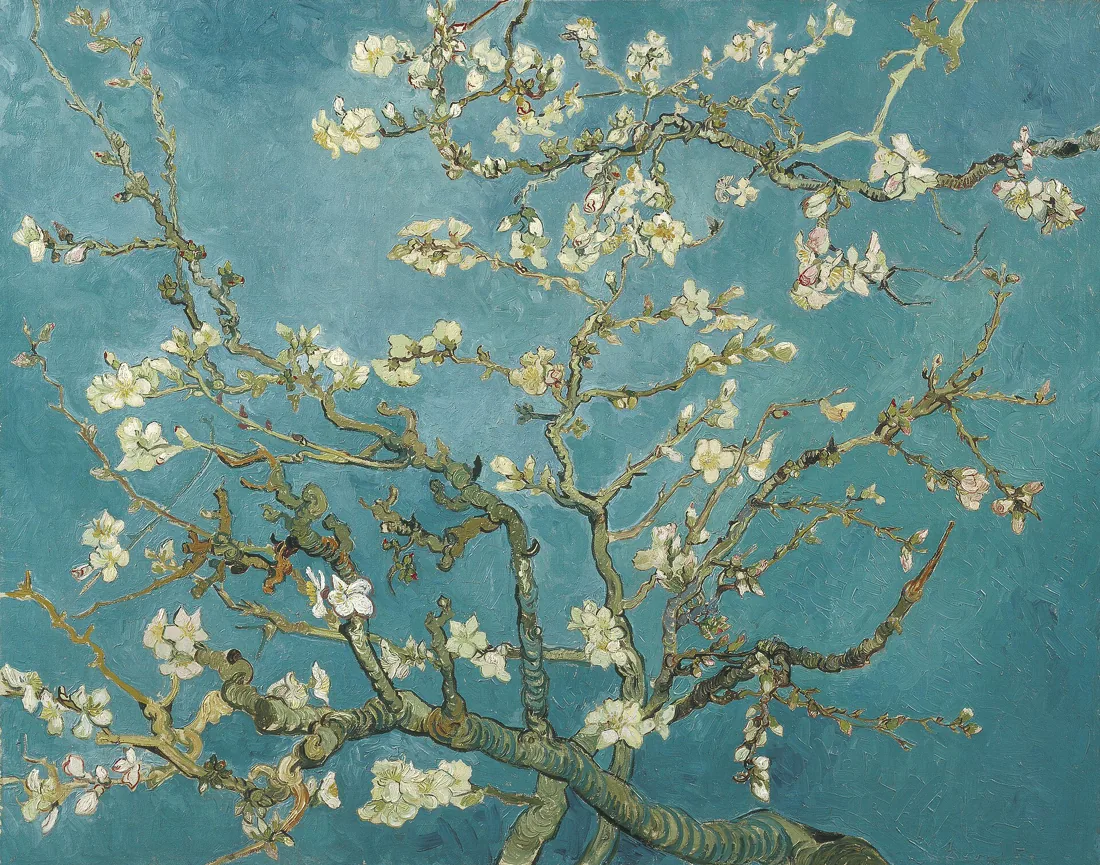 Mandorlo in fiore di Vincent van Gogh: rami con fiori bianchi e rosa su cielo azzurro
